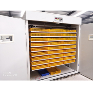 5280개 계란 부화기 판매, 가금류 재판매 사업 - Product Image 1