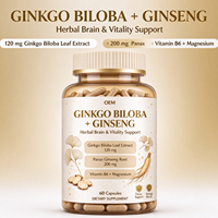 Capsules de Ginkgo Biloba et de Ginseng à Marque Blanche, 60 Comprimés avec Magnésium, Complément Alimentaire