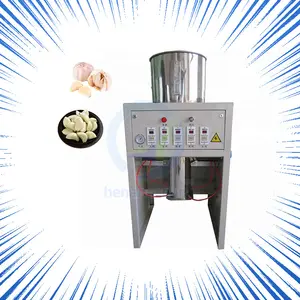 Small Ginger and Garlic Bulb Clove Electric Peel Process Machine Peladora de Ajos