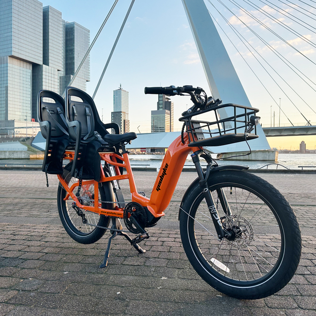 UK STOCK Fast Delivery Step-thru Battery Powered Electric Cargo Bike Family with 48v 250w Mid Drive Motor