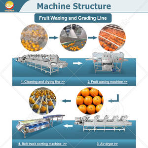 Máquina Calibradora de Frutas ORME, Máquina de Clasificación de Aguacates, Máquina de Lavado y Encerado de Frutos Secos, Máquina Clasificadora para Naranjas - Product Image 5