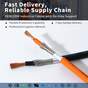 OEM Waterdichte IP67 M20 Connector Kabel 2/12 Pins Rechte/Hoekige Gegoten Stekkerkabels (PVC/PUR) Robotische Sensor Connector Kabel - Product Image 3