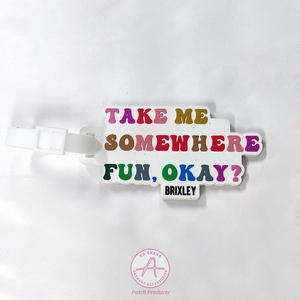 Etichetta personalizzata per il bagaglio in PVC carta d'imbarco etichetta per la valigia con Logo della carta d'imbarco - Product Image 2