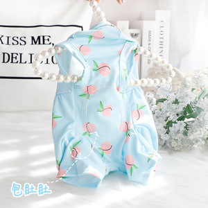 Puppy <b>clothes</b> for spring and summer, small dog four-legged <b>clothes</b>, thin and fully covered, <b>cat</b> peach-shaped spay/neuter suit - Product Image 4