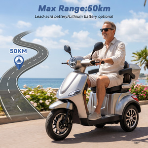 Scooter de Mobilité EEC à 3 Roues avec Port de Charge Unique, Tricycle Électrique, Phare à Haute Luminosité pour Personnes Âgées - Product Image 5