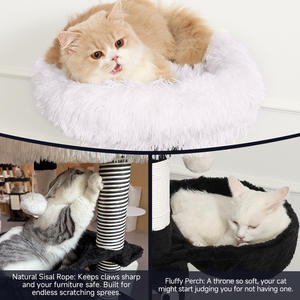 Relipet-Árbol para gatos de nuevo estilo con encuadernación de bordes, cama para gatos con estructura de madera multicapa incluida - Product Image 4