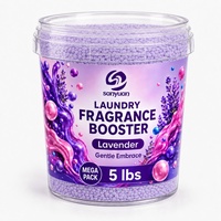 Perles de parfum pour lessive, directement de l'usine, seau transparent de 5 livres, parfum personnalisé, marque privée, fournisseur en gros