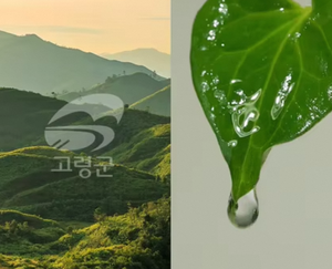 ผลิตภัณฑ์บำรุงผิวหน้าจากเกาหลี JMSOLUTION แผ่นมาส์กใต้ตา Heartleaf Soothing Eye Patch บำรุงผิวหน้า 60 ชิ้น ขายส่ง ยอดนิยม - Product Image 4