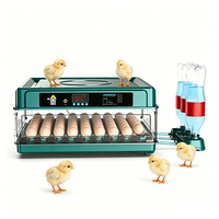 Incubateur entièrement automatique 6-128 œufs, retournement automatique, contrôle de la température pour poulets, canards, cailles