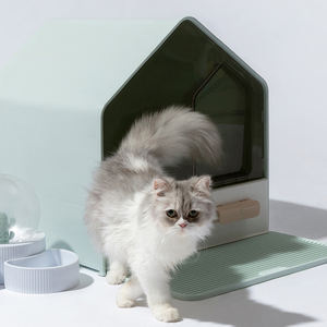 <span class=keywords><strong>Bac</strong></span> à <span class=keywords><strong>sable</strong></span> épais entièrement fermé, litière, grand espace, pour Villa, litière, animal de compagnie, toilette, pour chat - Product Image 2