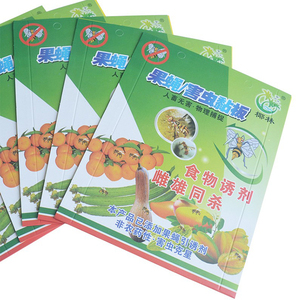 แผ่นกาวดักแมลงแบบใช้แล้วทิ้งสำหรับใช้ในบ้านและสวน - Product Image 1