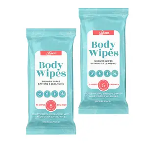 Customized Body Wet Wipes 10pcs Biodegradable Wet Tissue Large body wipes flushable Private label body wipes for adults