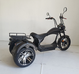 สกู๊ตเตอร์ไฟฟ้าสามล้อ Loyal รุ่น 4000W GPS พับได้ <span class=keywords><strong>ก</strong></span>ันน้ำ แบตเตอรี่ลิเธียม Citycoco Chopper Bike ผลิตในจีน - Product Image 1