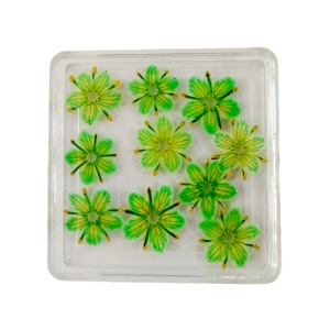 Vente flash Fleurs séchées originales pour l'art des ongles Fleurs séchées pressées pour l'artisanat en résine Vraies fleurs pour les ongles - Product Image 3