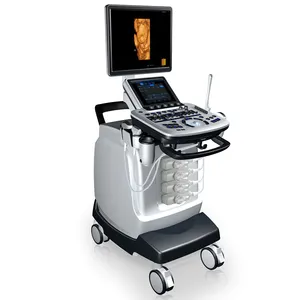 先进的超声扫描仪医学成像心脏病学