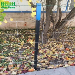 Valla de <span class=keywords><strong>campo</strong></span> de ganado de malla de alambre tejida conjunta de bisagra galvanizada eléctrica Valla de granja de vacas - Product Image 4