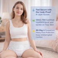 Culottes menstruelles jetables pour femmes, protection nocturne, haute absorption, anti-fuites, protection 360°, marque privée OEM ODM FSC