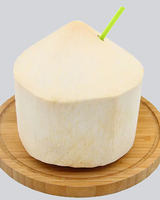 Coupe de noix de coco verte couteau ouvert magasin de fruits Portable manuel ouvre-trou de noix de coco coquille noix de coco hols ouverture perceuse