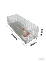Cage d'élevage de poussins de type A pour poussins d'un jour, capacité 500-2000 poussins, galvanisée à chaud, 3/4 niveaux, pour élevage avicole