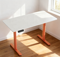 Bureau debout ergonomique électrique réglable en hauteur moderne et durable à moteur unique avec plateau en bois et cadre en métal