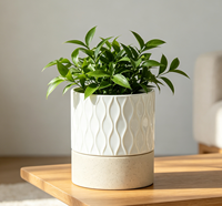 Pot de fleurs en porcelaine auto-arrosant avec trou de drainage, réservoir d'eau, durable, écologique, design moderne pour plantes d'intérieur, 4,5 pouces