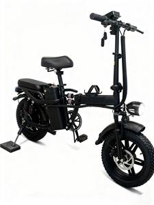 Nouveau <span class=keywords><strong>vélo</strong></span> <span class=keywords><strong>électrique</strong></span> pliable tout-terrain haute vitesse 800W avec pneu de <span class=keywords><strong>16</strong></span> <span class=keywords><strong>pouces</strong></span> super antidérapant pour la neige, double entraînement, véhicule de montagne - Product Image 3