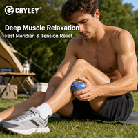 Balle de massage rotative à 360 degrés en acier inoxydable durable, rouleau de massage manuel pour la relaxation musculaire et le soulagement des douleurs musculaires