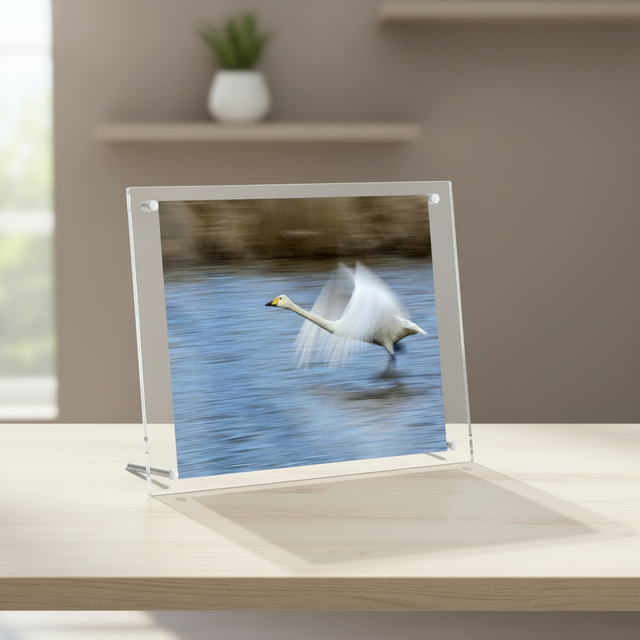 Modern Desktop Freestanding Clear Magnetic Acrylic Photo Frame with Stand Frame Less Design Picture Frame for Office Home Decor