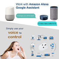 Prise de courant intelligente IndiaType Programmation Minuterie Mise hors tension Mémoire Surveillance de l'énergie Fonctionne avec Google Home Alexa Wifi Smart Plug