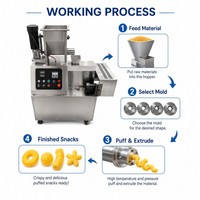 Machine à souffler les céréales, le riz et les granulés en acier inoxydable, extrudeuse d'aliments soufflés en promotion