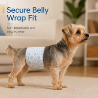 Bandes absorbantes jetables pour chiens mâles avec noyau absorbant, résistantes aux fuites, pour la marquage urinaire, les voyages et les soins à domicile