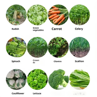 Semoir manuel pour légumes, oignons, tomates et sésame - Facile à utiliser, 1 mu/heure