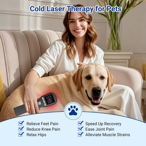 Terapi lampu merah kuda tingkat rendah lampu <span class=keywords><strong>Laser</strong></span> peralatan dokter hewan untuk anjing pelega nyeri cedera penyembuhan luka - Product Image 2