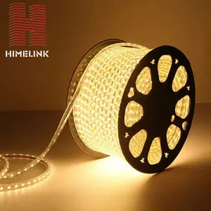 Op Maat Gemaakte Hoge Lichtefficiëntie Witte 2835 Smd 220V Laagspanning 3M Tape Hoge Cri Led Strip Lichten