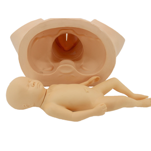 Modello Didattico di Parto, Modello Umano per l'Insegnamento della Distocia, Modello di Ostetricia per il Parto - Product Image 4