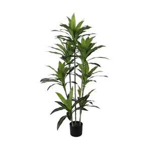 Brasil Lucky Tub Plant Artificial Four Seasons Green Plastic Plant Desktop Brazilwood Tree Forest Dracaena <span class=keywords><strong>Bonsai</strong></span> Plante - Product Image 1