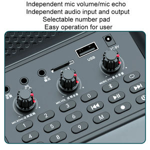 Altavoz de Karaoke portátil H4 30W BT 5,0 con micrófono independiente Woofer de 4 pulgadas Caja de sonido Tweeter de 1,5 pulgadas con baile/entrenamiento - Product Image 5