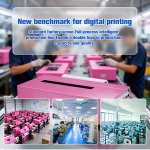 Imprimante DTF FCOLOR 13 pouces, imprimante à rouleaux pour l'impression de t-shirts, imprimante DTF A3 30 cm rose, Impresora DTF avec four DTF - Product Image 3