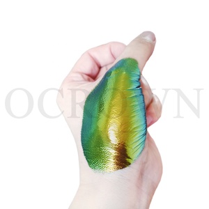 Chất lượng cao Tắc Kè Hoa màu nước sắc tố màu sắc thay đổi sắc tố ngọc trai bột - Product Image 4