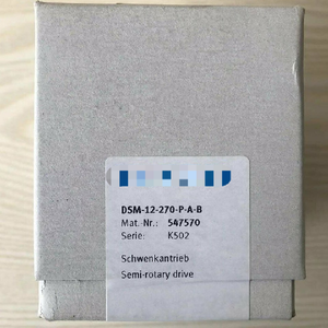 Nieuwe zwenkcilinder DSM-12-270-<span class=keywords><strong>P</strong></span>-Awbr-B 547570 - Product Image 1