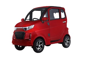 Scooter elettrico chiuso per auto elettrica EEC COC per adulti - Product Image 3
