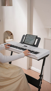 Bdmusic Chất Lượng Cao 61 Key Nhạc Cụ Bàn Phím Kỹ Thuật Số Đàn Piano Với Thiết Kế Mới Từ Trung Quốc Nhà Máy Âm Nhạc Đàn Piano Trên Bán - Product Image 5
