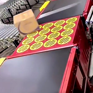 डुफी कस्टमाइज्ड वेयरहाउस लॉजिस्टिक सोल्टर ई-कॉमर्स एक्सप्रेस पार्सल बैलेंस व्हील सॉर्टिंग सिस्टम मशीन - Product Image 5