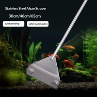 Grattoir à algues triangulaire en acier inoxydable 430 pour aquarium, lame noire carbone, élimination des algues et de la boue verte, vente en gros