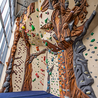 Panneaux muraux d'escalade intérieurs et extérieurs commerciaux Mur d'escalade artificiel Jeux muraux d'escalade pour enfants