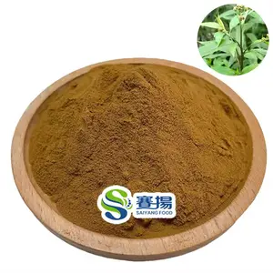 Isatis Leaf Extract High Quality Indirubin 0.5% CAS 479-41-4 Natural Food Grade Folium Isatidis Extract