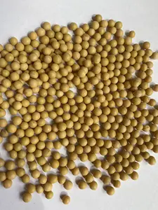 Sell A Large Number Of High-quality Soybeans That Sell Hot Products