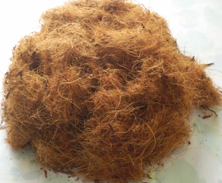 COCONUT FIBER / COCONUT COIR Coconut Coir For Microgreens Cheap price large quantity origin Vietnam - Contact for bulk quantity