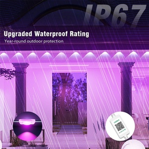 ไฟ LED คริสต์มาสคุณภาพสูง 15 เมตร ควบคุมผ่านแอพ DC24V RGB RGBW แหล่งกำเนิดแสงแบบถอดได้ สำหรับตกแต่งอาคารภายนอก - Product Image 3