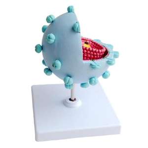 Modelo Anatómico Ampliado <span class=keywords><strong>del</strong></span> Virus <span class=keywords><strong>del</strong></span> VIH, Material Didáctico Médico de PVC para Aulas de Biología y Demostraciones en Exposiciones Científicas - Product Image 5